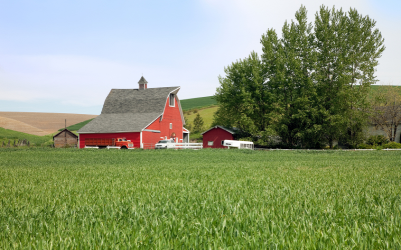 Farmhouse in Fargo